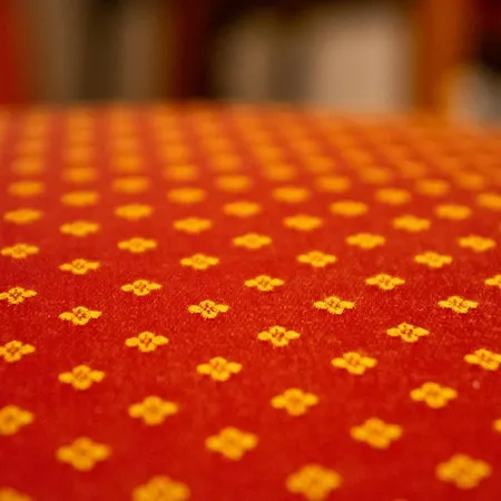 Gostinjska kuća Alpine - Kranjska Gora